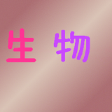 初中生英语学习助手