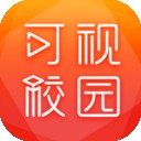 可视