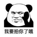 拍一拍生成器