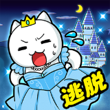 Cat Rocket