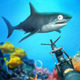 水族馆大冒险