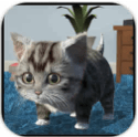 猫咪模拟器3D