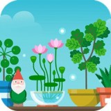 我的植物僵尸