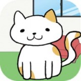 我的猫咪咖啡厅