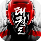 跆拳道对决泰拳