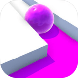 Rolly Bot